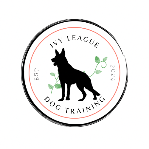 Ivyleaguedogtraining.com